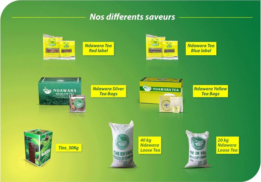 Nos différentes saveurs de thé Ndawara