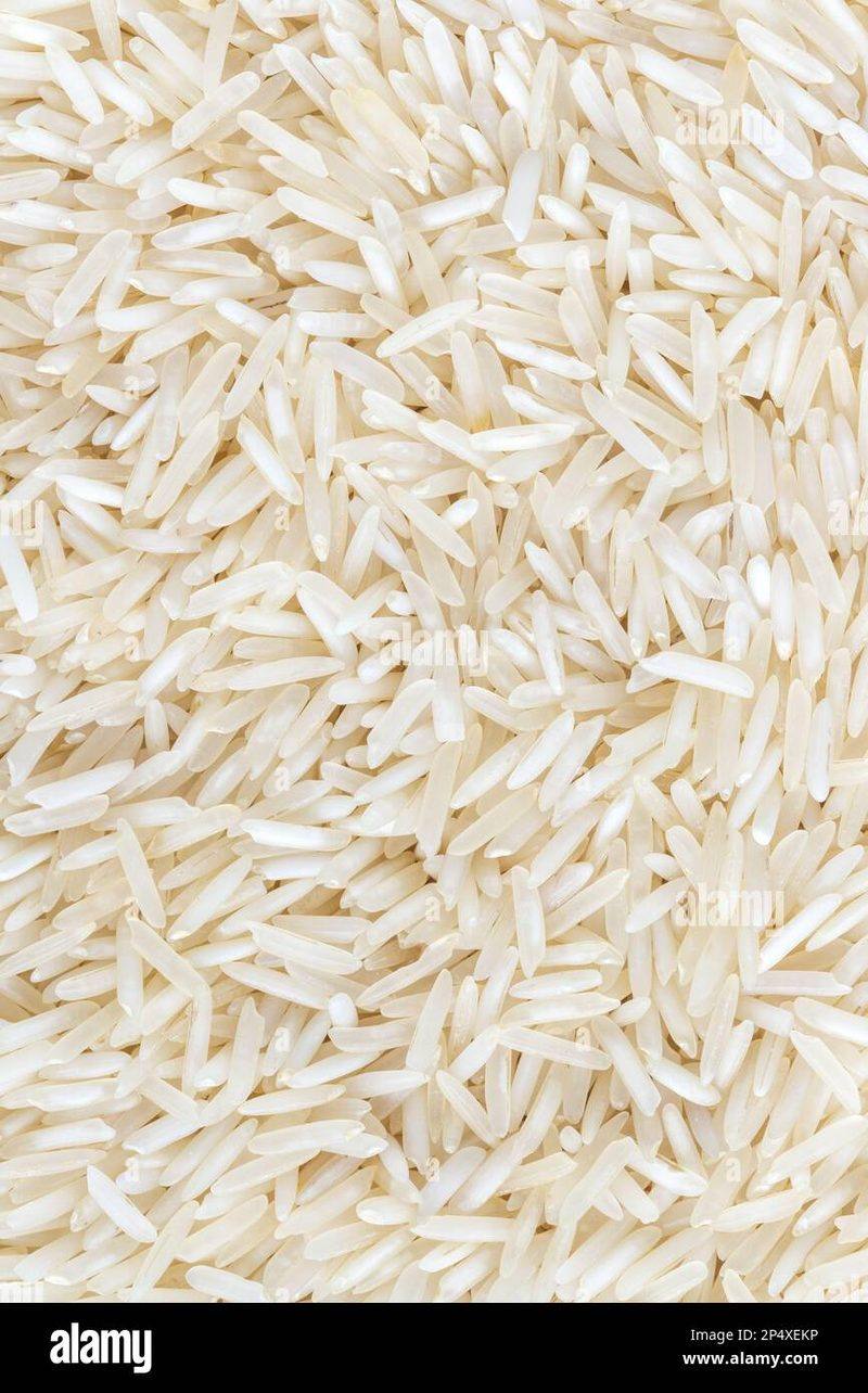 Riz Beldi long grain blanc 25kg Green Valley